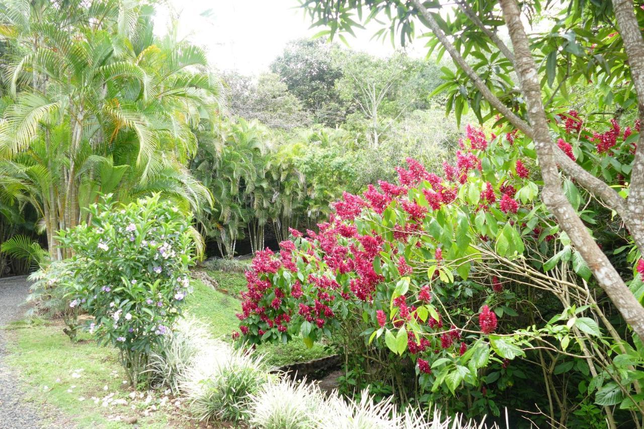 Bungalows Sanlaz Jesus Buitenkant foto